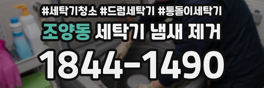 조양동 세탁기 냄새 제거