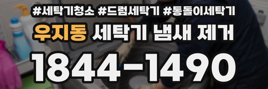 우지동 세탁기 냄새 제거