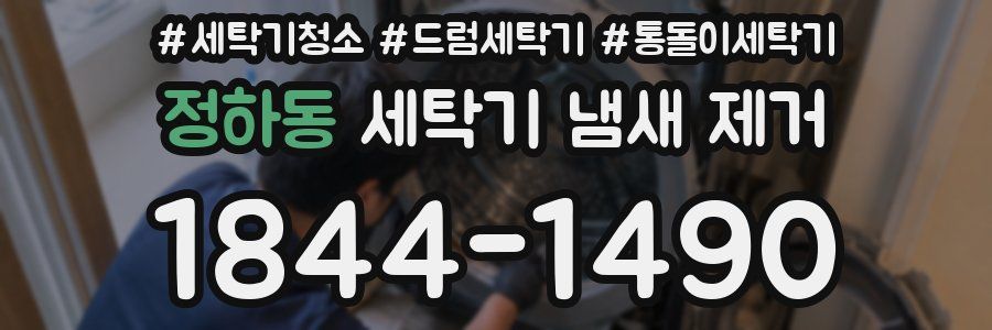 정하동 세탁기 냄새 제거
