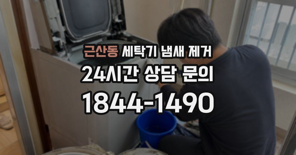 근산동 세탁기 냄새 제거