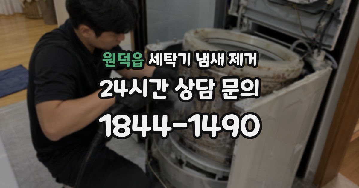 원덕읍 세탁기 냄새 제거