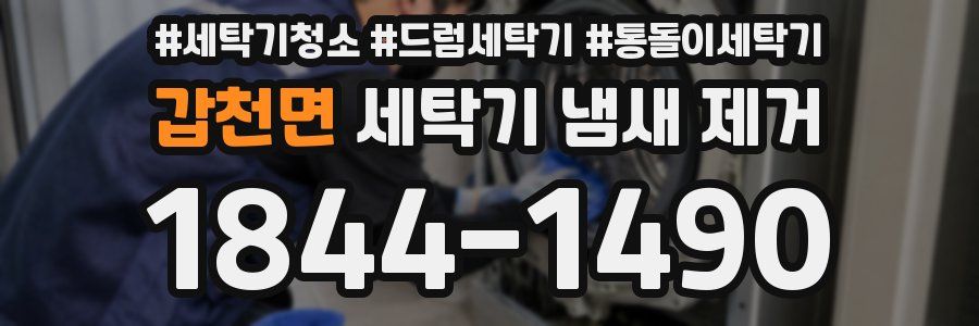 갑천면 세탁기 냄새 제거