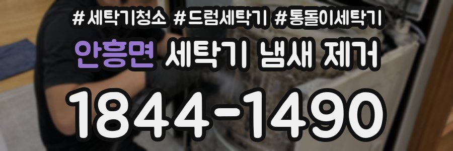 안흥면 세탁기 냄새 제거