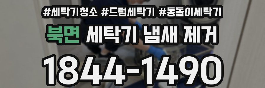 북면 세탁기 냄새 제거