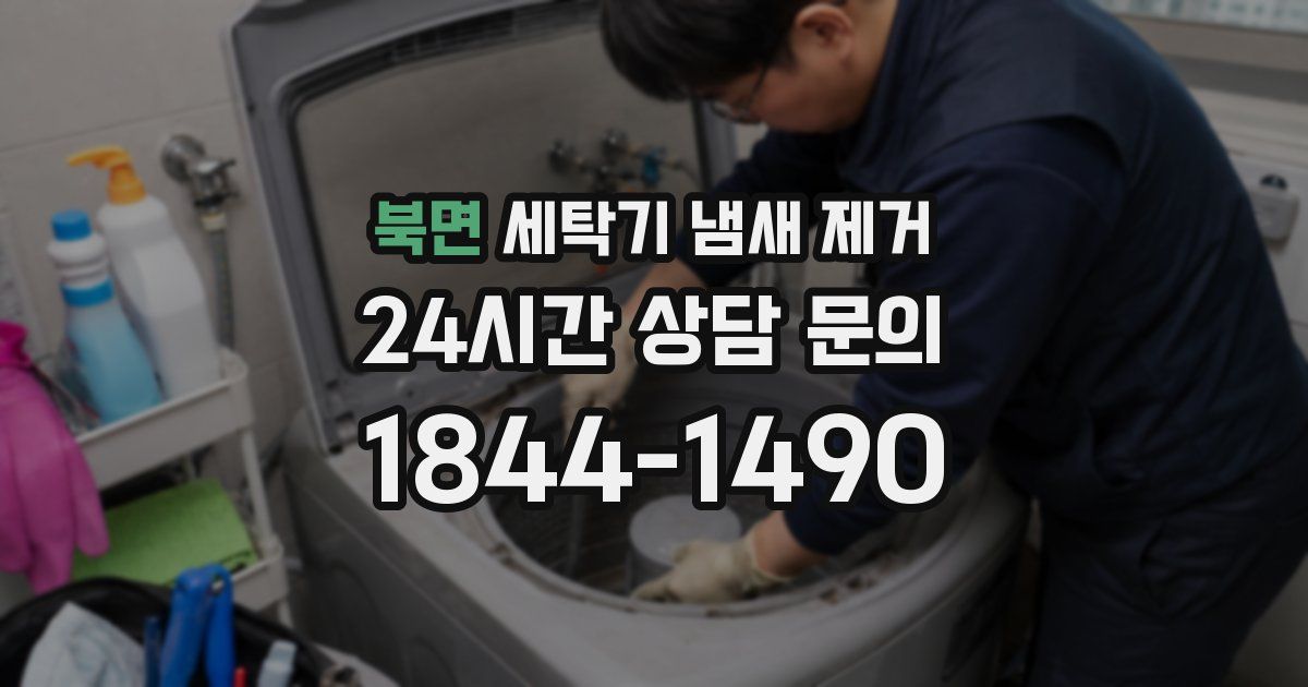 북면 세탁기 냄새 제거