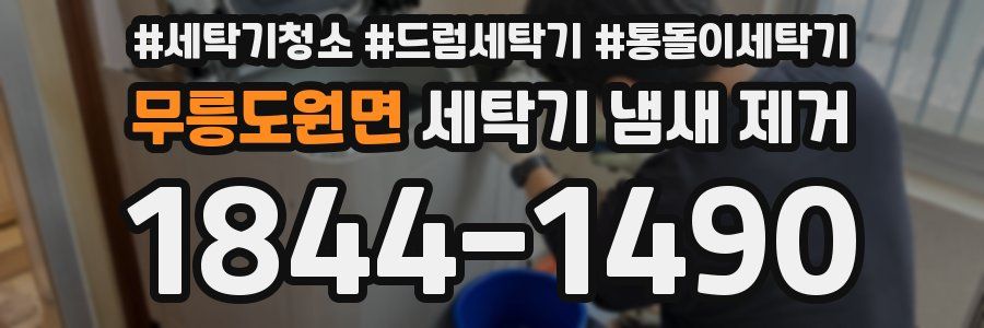 무릉도원면 세탁기 냄새 제거