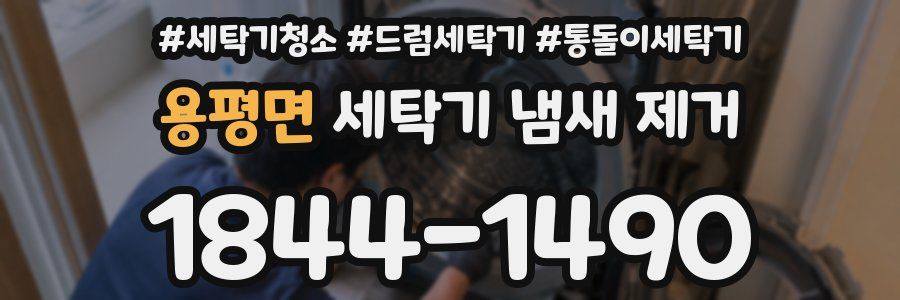 용평면 세탁기 냄새 제거