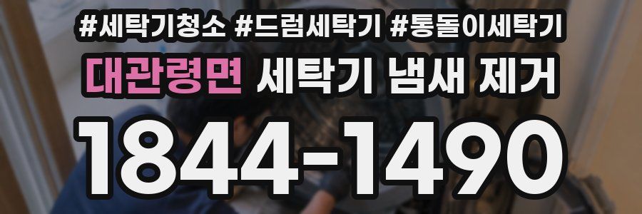 대관령면 세탁기 냄새 제거