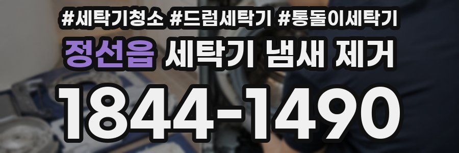 정선읍 세탁기 냄새 제거