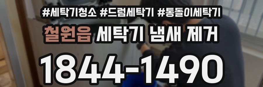 철원읍 세탁기 냄새 제거