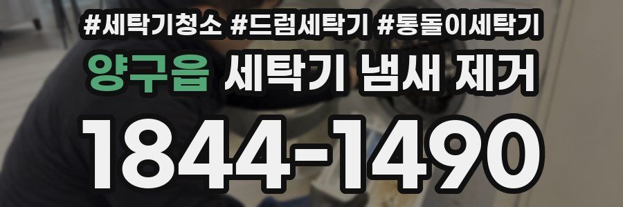 양구읍 세탁기 냄새 제거