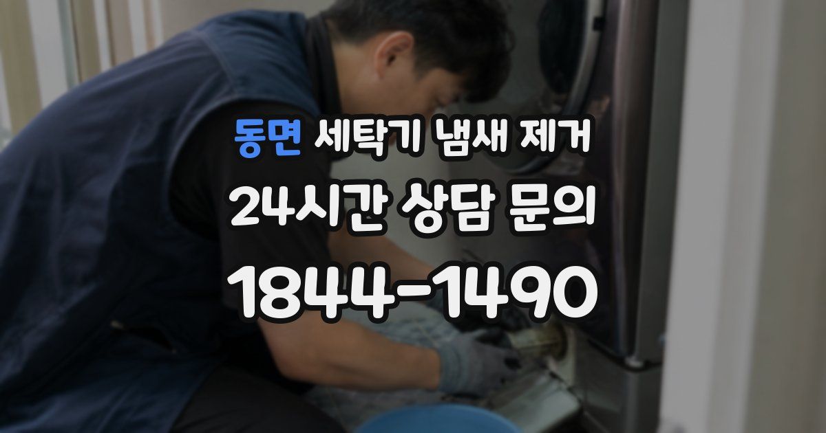 동면 세탁기 냄새 제거
