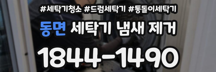 동면 세탁기 냄새 제거