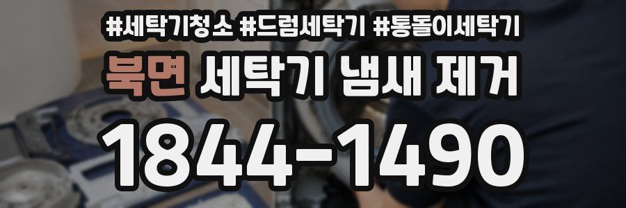 북면 세탁기 냄새 제거