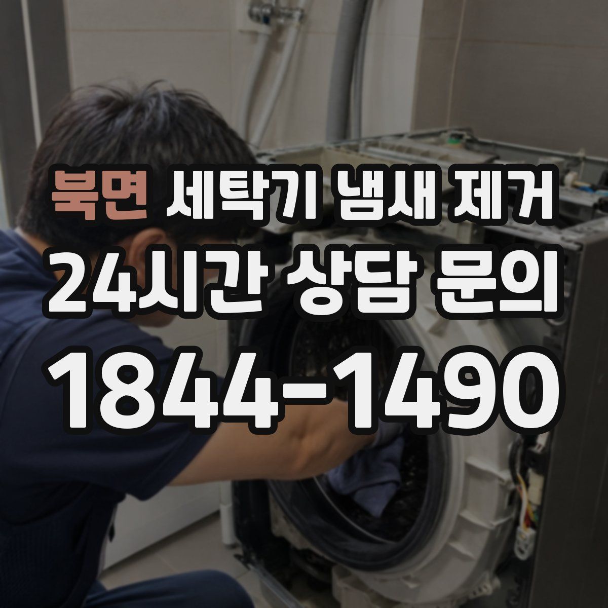 북면 세탁기 냄새 제거