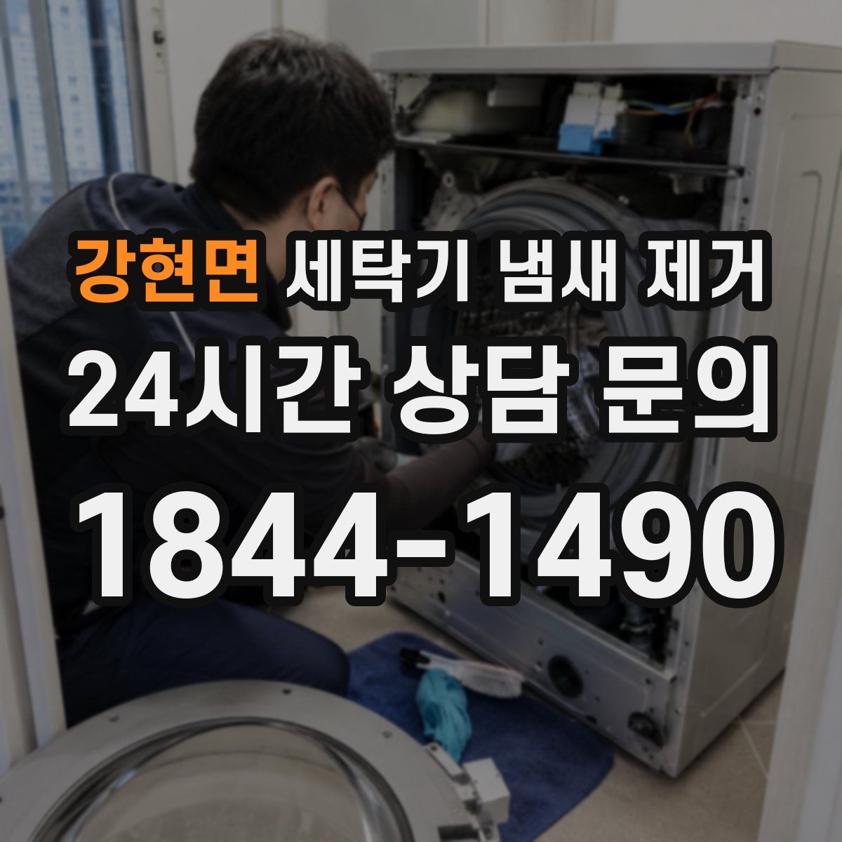강현면 세탁기 냄새 제거