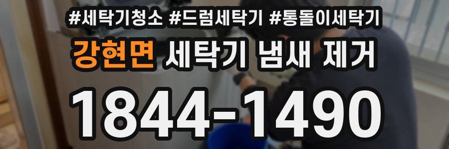 강현면 세탁기 냄새 제거
