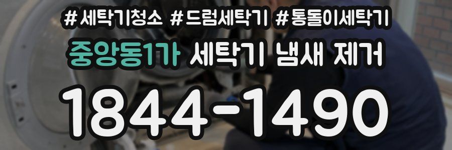 중앙동1가 세탁기 냄새 제거