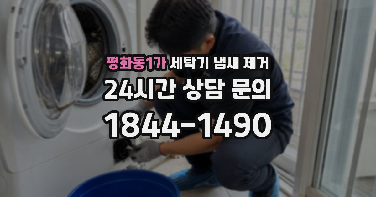 평화동1가 세탁기 냄새 제거