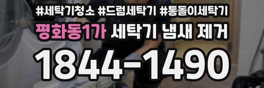 평화동1가 세탁기 냄새 제거