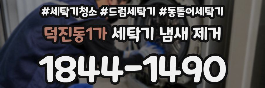 덕진동1가 세탁기 냄새 제거