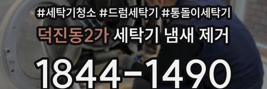 덕진동2가 세탁기 냄새 제거