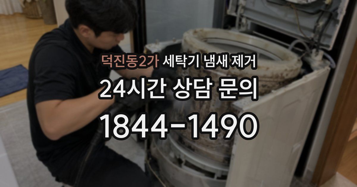 덕진동2가 세탁기 냄새 제거