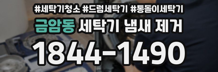 금암동 세탁기 냄새 제거