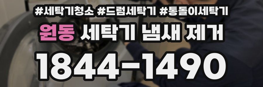 원동 세탁기 냄새 제거