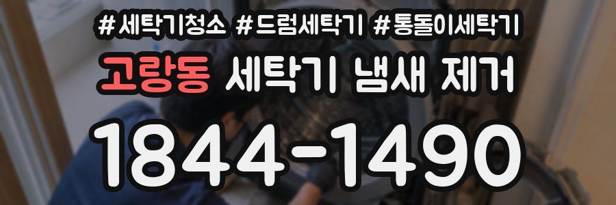 고랑동 세탁기 냄새 제거