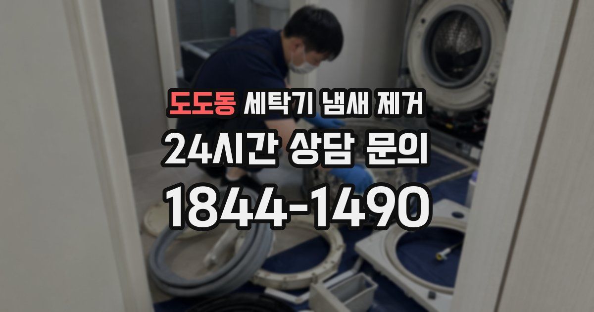 도도동 세탁기 냄새 제거