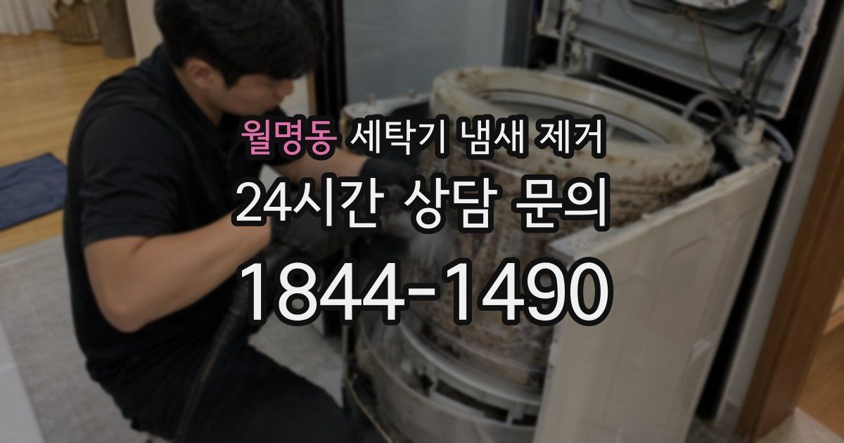월명동 세탁기 냄새 제거