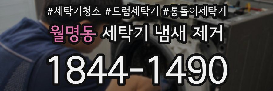 월명동 세탁기 냄새 제거