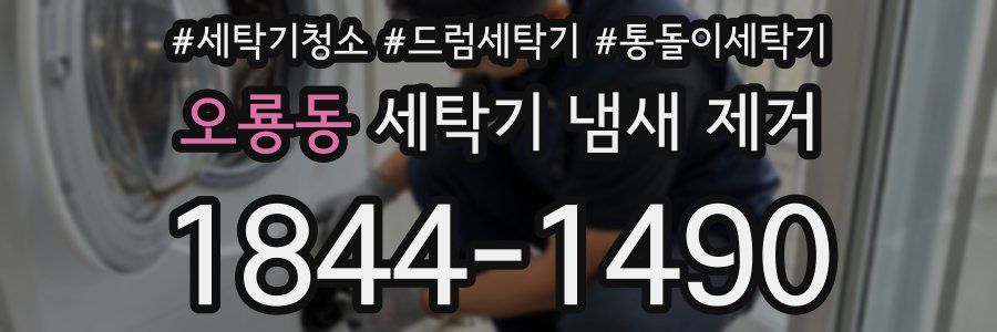 오룡동 세탁기 냄새 제거