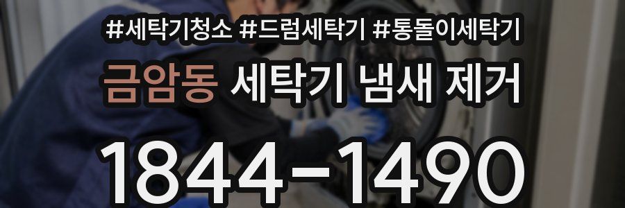 금암동 세탁기 냄새 제거