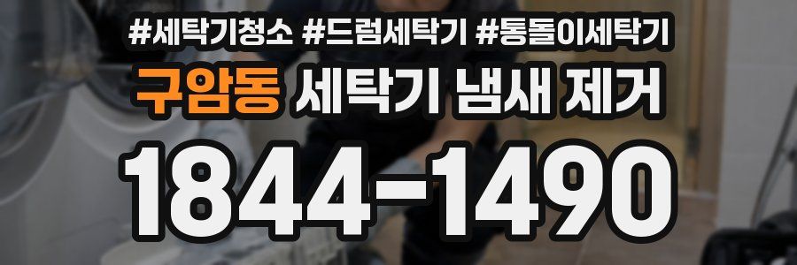 구암동 세탁기 냄새 제거