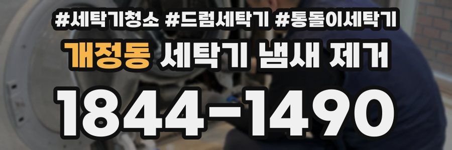 개정동 세탁기 냄새 제거