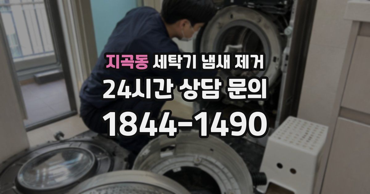 지곡동 세탁기 냄새 제거
