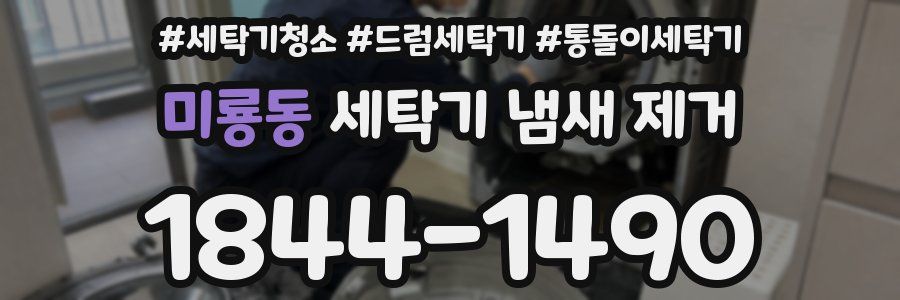 미룡동 세탁기 냄새 제거