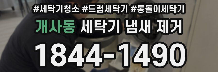 개사동 세탁기 냄새 제거