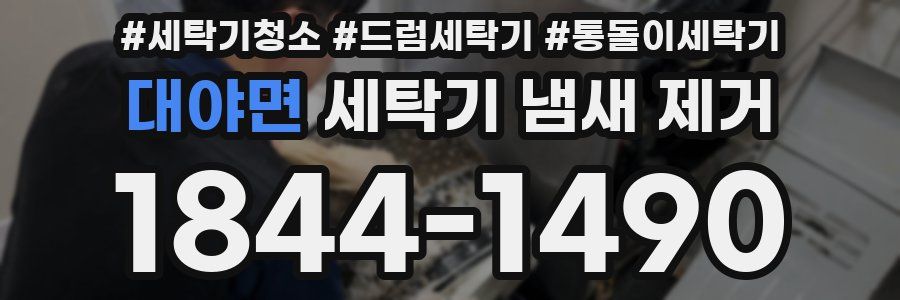 대야면 세탁기 냄새 제거
