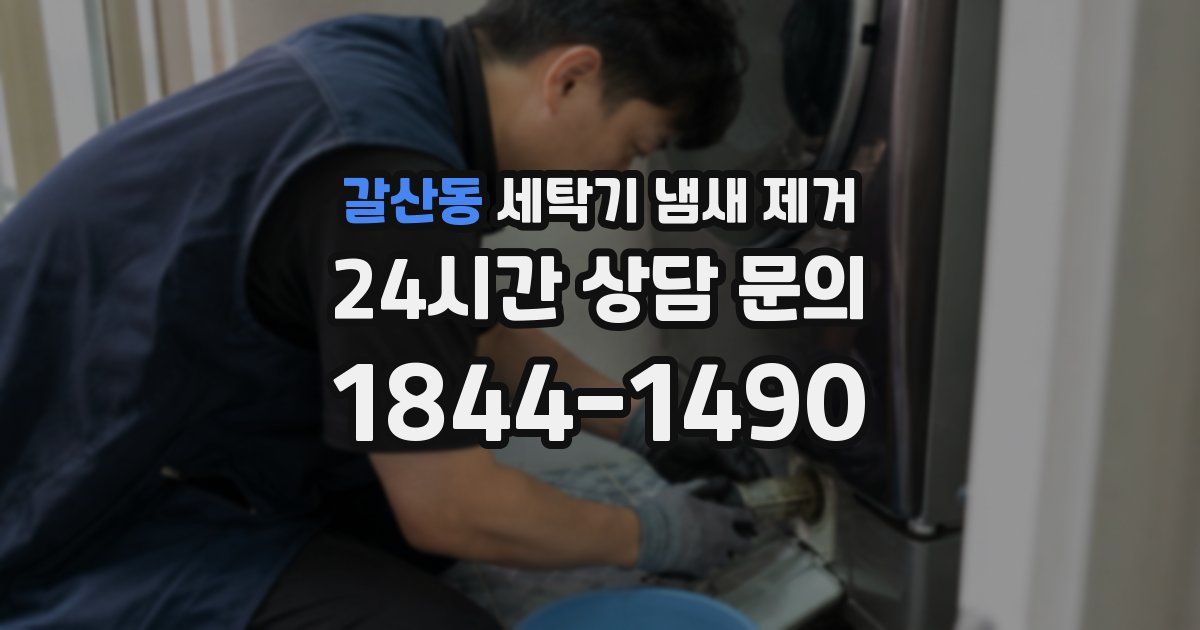 갈산동 세탁기 냄새 제거