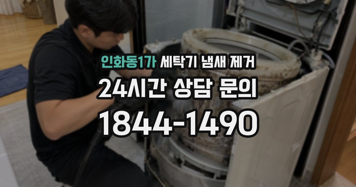 인화동1가 세탁기 냄새 제거