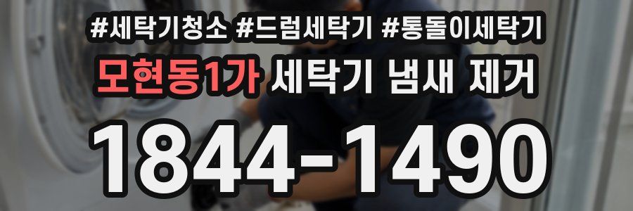 모현동1가 세탁기 냄새 제거