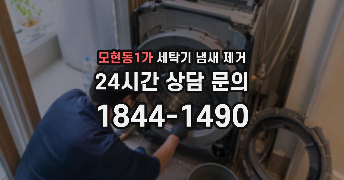 모현동1가 세탁기 냄새 제거