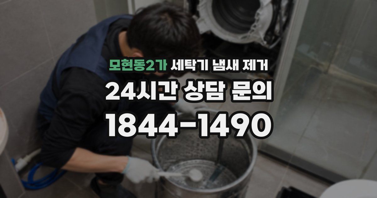 모현동2가 세탁기 냄새 제거