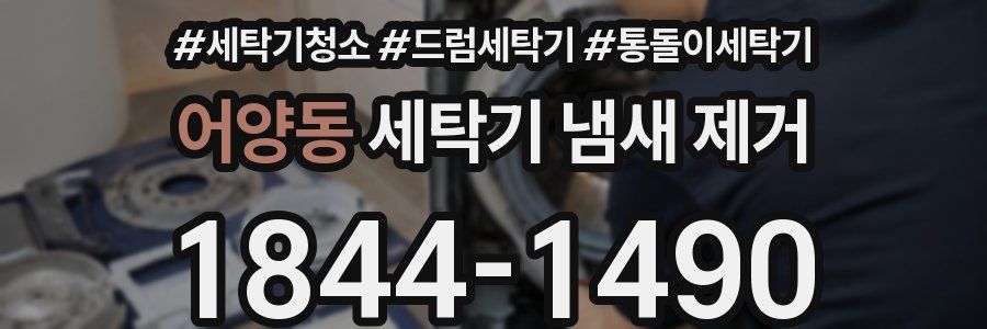 어양동 세탁기 냄새 제거
