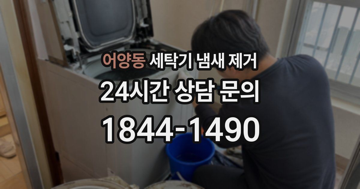 어양동 세탁기 냄새 제거