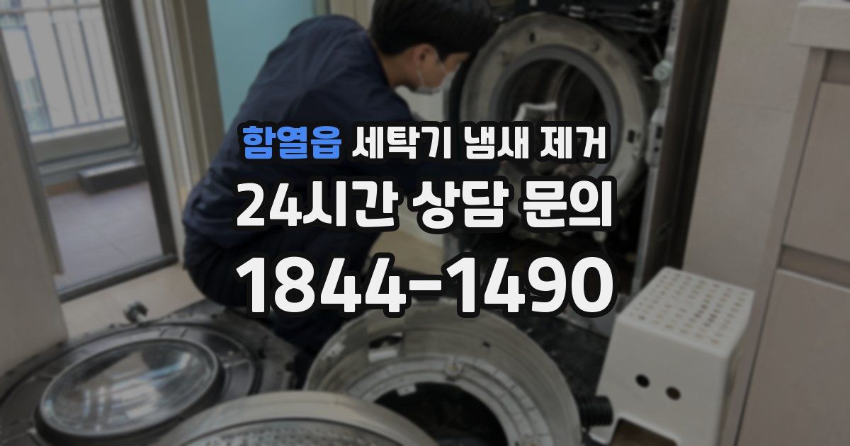 함열읍 세탁기 냄새 제거