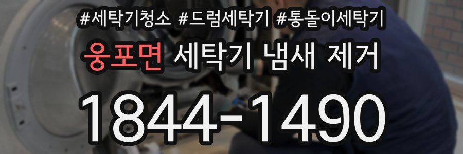 웅포면 세탁기 냄새 제거